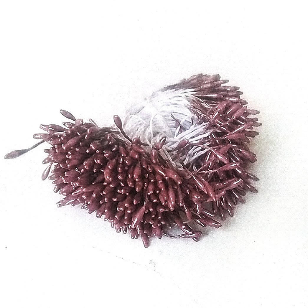 Тычинки длинные 60 штук(120 головок).Мелкие. Цвет коричневый
Тычинки длинные 60 штук(120 головок).Мелкие. Цвет коричневый