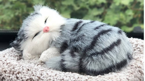 Кошеня на торпеду в авто Fresh 3337787 
Кошеня на торпеду в авто Fresh 3337787