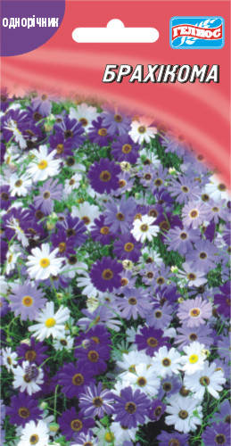 Брахикома 0,1 г
Брахикома 0,1 г