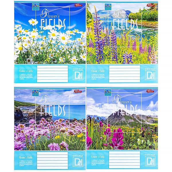 Тетрадь цветная 24 листа, линия цена за упаковку
Тетрадь цветная 24 листа, линия цена за упаковку