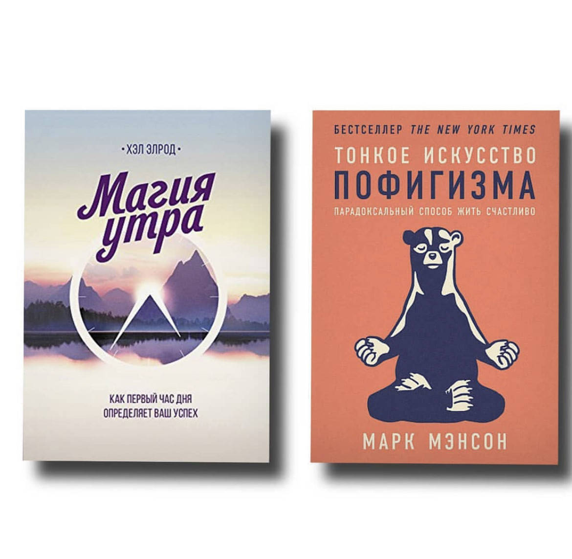 Набор книг Тонкое искусство пофигизма - Марк Мэнсон Магия утра - Хэл Элрод (мягкий переплет)
Набор книг Тонкое искусство пофигизма - Марк Мэнсон Магия утра - Хэл Элрод (мягкий переплет)