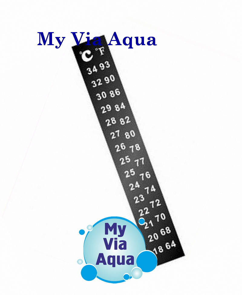 Термометр Наклейка на жидких кристаллах
Термометр Наклейка на жидких кристаллах