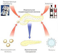 похудеть легко и с удовольствием