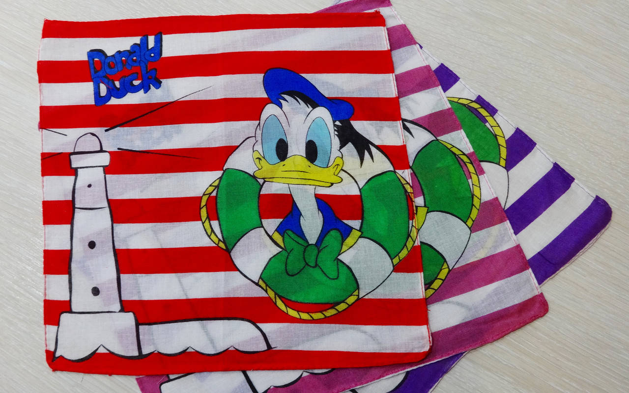 Платок носовой детский (28х28 см), Разные цвета
Платок носовой детский (28х28 см), Разные цвета