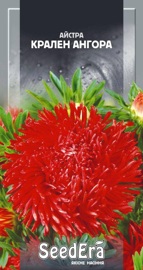 SeedEra. Семена Астра высокорослая Кларен Ангора , 0.25 г, Красный
SeedEra. Семена Астра высокорослая Кларен Ангора , 0.25 г, Красный