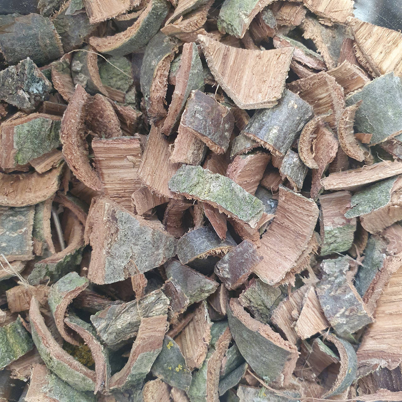 Кора дуба 50 гр (Свежий урожай)
Кора дуба 50 гр (Свежий урожай)