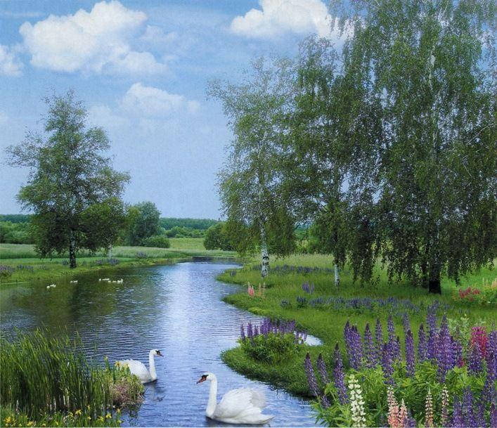 Фотообои бумажные на стену, 201х242 см "Утренняя зорька", фотообои готовые, фотообои природа, 15 листов
Фотообои бумажные на стену, 201х242 см "Утренняя зорька", фотообои готовые, фотообои природа, 15 листов