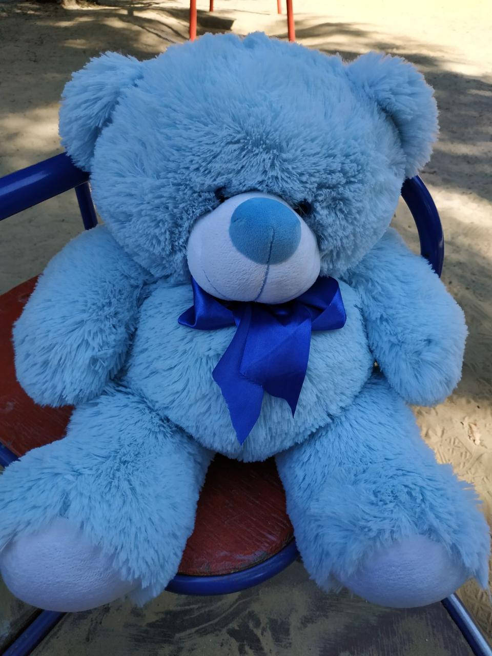 Мишка Бойд 70см / 42см голубой
Мишка Бойд 70см / 42см голубой