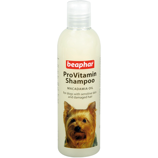 Шампунь для собак с чувствительной кожей Beaphar ProVitamin Shampoo Macadamia Oil 250 мл
Шампунь для собак с чувствительной кожей Beaphar ProVitamin Shampoo Macadamia Oil 250 мл