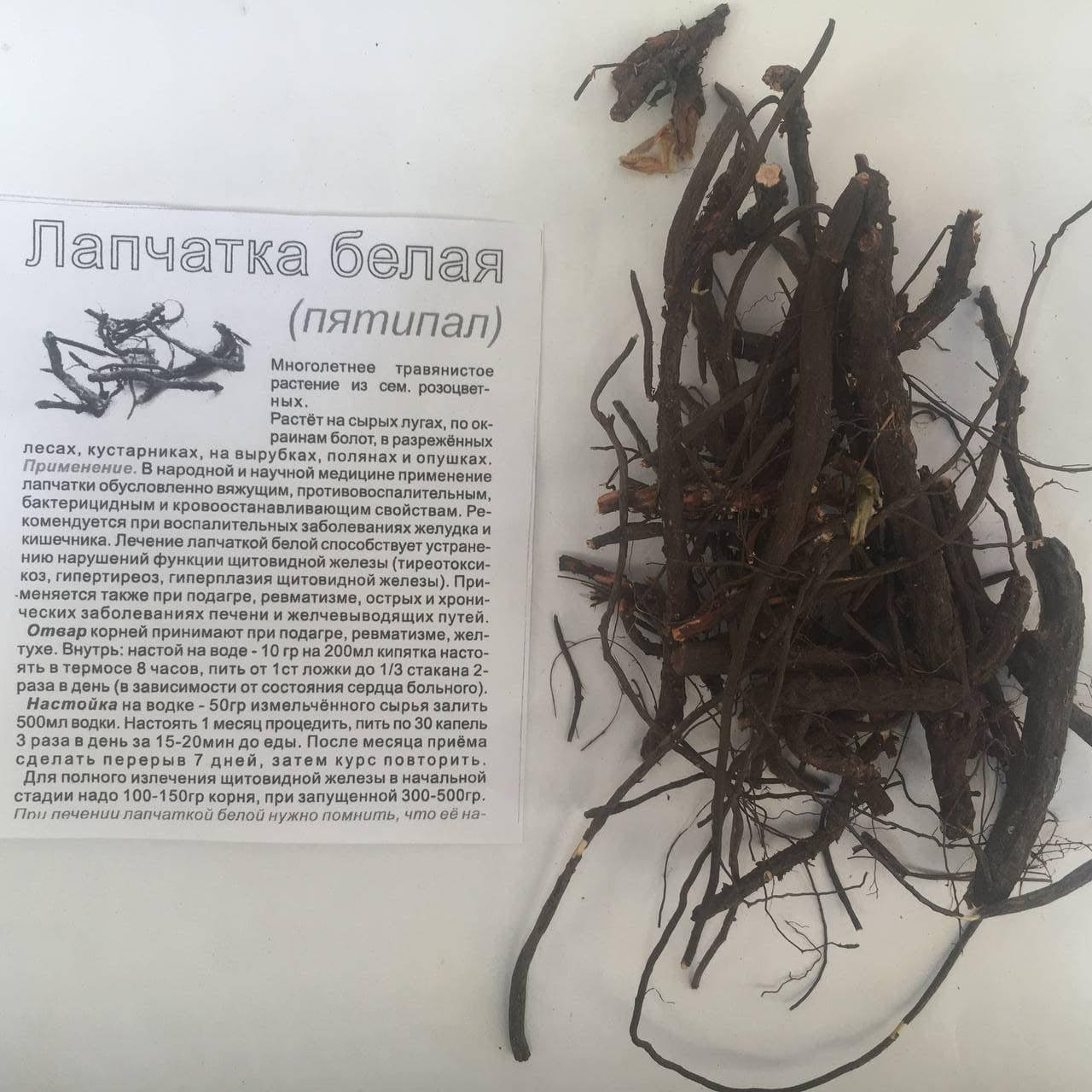 Лапчатка белая Перстач корень 50 гр
Лапчатка белая Перстач корень 50 гр