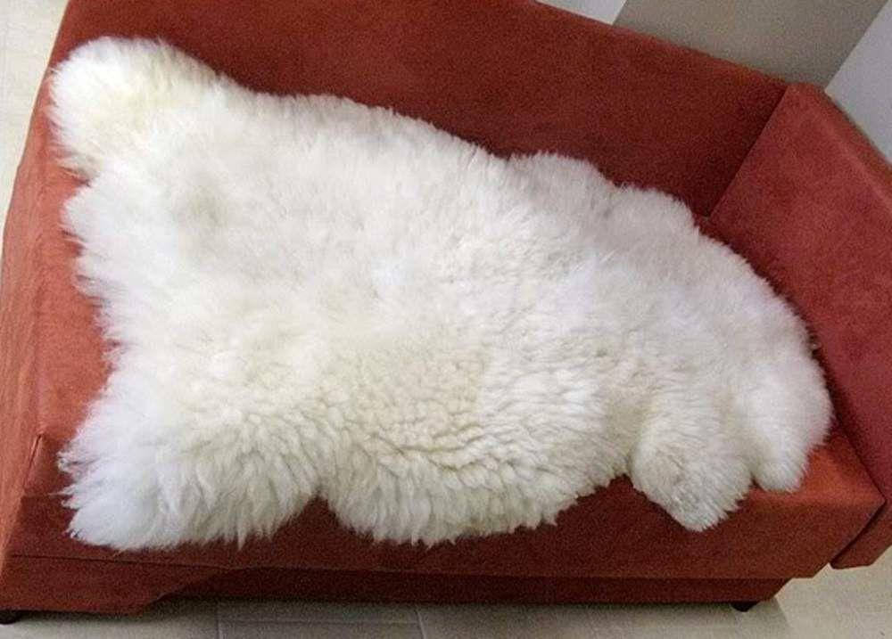 Шкура овечья, Шкура из овчины, Ковер из овечьей шерсти, Шкура овцы, Шкіра овеча,120-75, Разные цвета
Шкура овечья, Шкура из овчины, Ковер из овечьей шерсти, Шкура овцы, Шкіра овеча,120-75, Разные цвета