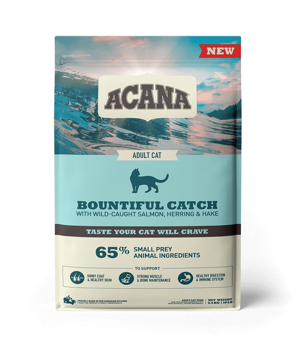 ACANA (Акана) BOUNTIFUL CATCH Cat (Рыба) 4,5 кг - низкозерновой корм для взрослых кошек всех пород
ACANA (Акана) BOUNTIFUL CATCH Cat (Рыба) 4,5 кг - низкозерновой корм для взрослых кошек всех пород
