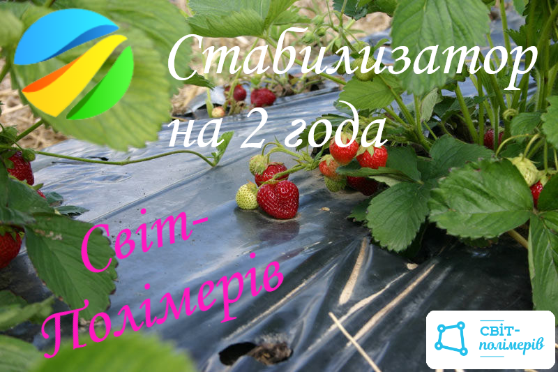 МУЛЬЧИРУЮЩАЯ ПЛЕНКА ДЛЯ ВЫРАЩИВАНИЯ КЛУБНИКИ УФ СТАБИЛИЗАТОР НА 2 ГОДА
МУЛЬЧИРУЮЩАЯ ПЛЕНКА ДЛЯ ВЫРАЩИВАНИЯ КЛУБНИКИ УФ СТАБИЛИЗАТОР НА 2 ГОДА