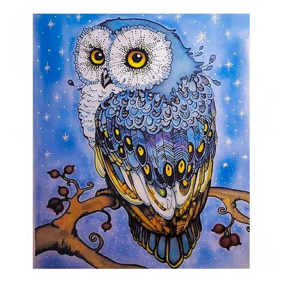 Картина раскраска по номерам "Сова", 40х50см. №30482
Картина раскраска по номерам "Сова", 40х50см. №30482