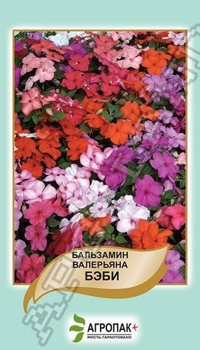 Бальзамин валерьяна Бэби, смесь - 0,1 грамм А 
Бальзамин валерьяна Бэби, смесь - 0,1 грамм А