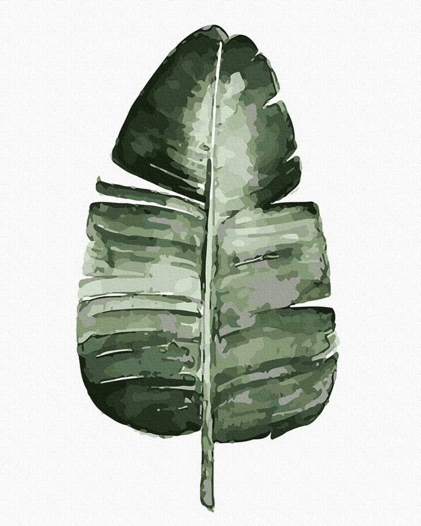 Картина по номерам Brushme Тропический лист OGT61068 40x50 см
Картина по номерам Brushme Тропический лист OGT61068 40x50 см