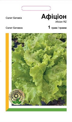 Семена салат Батавиа Афицион Rijk Zwaan
Семена салат Батавиа Афицион Rijk Zwaan