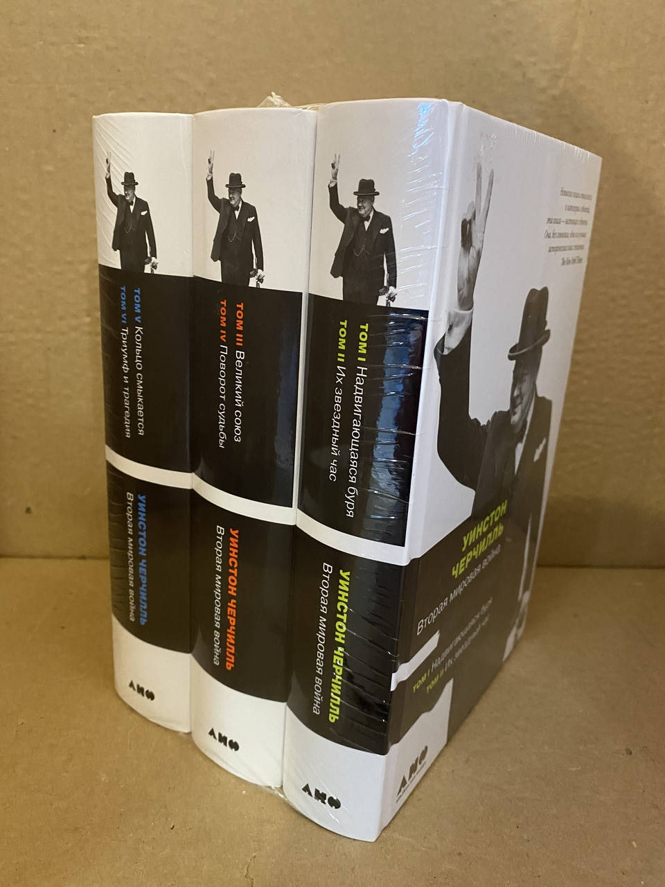 Вторая мировая война. В 6 томах (комплект из 3 книг) Уинстон Спенсер Черчилль
Вторая мировая война. В 6 томах (комплект из 3 книг) Уинстон Спенсер Черчилль