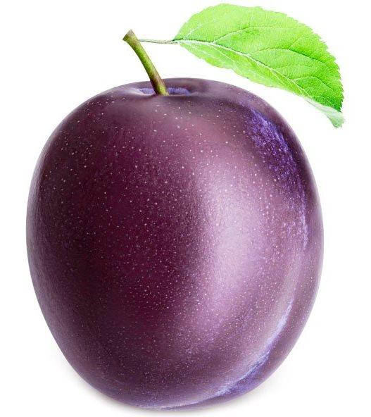 Ароматизатор TPA Plum (Слива) 5мл.
Ароматизатор TPA Plum (Слива) 5мл.