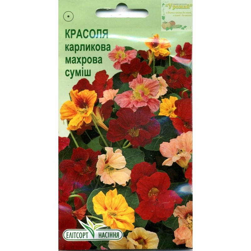 Семена цветы Настурция карликовая махровая смесь, 10 семян
Семена цветы Настурция карликовая махровая смесь, 10 семян