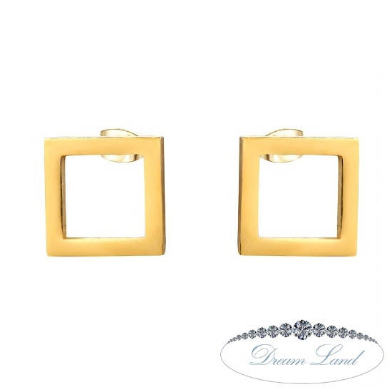 Серьги с нержавеющей медицинськои стали с позолотой "Алегра" 
Серьги с нержавеющей медицинськои стали с позолотой "Алегра"