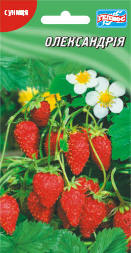 Семена земляники Александрия 100 шт.
Семена земляники Александрия 100 шт.