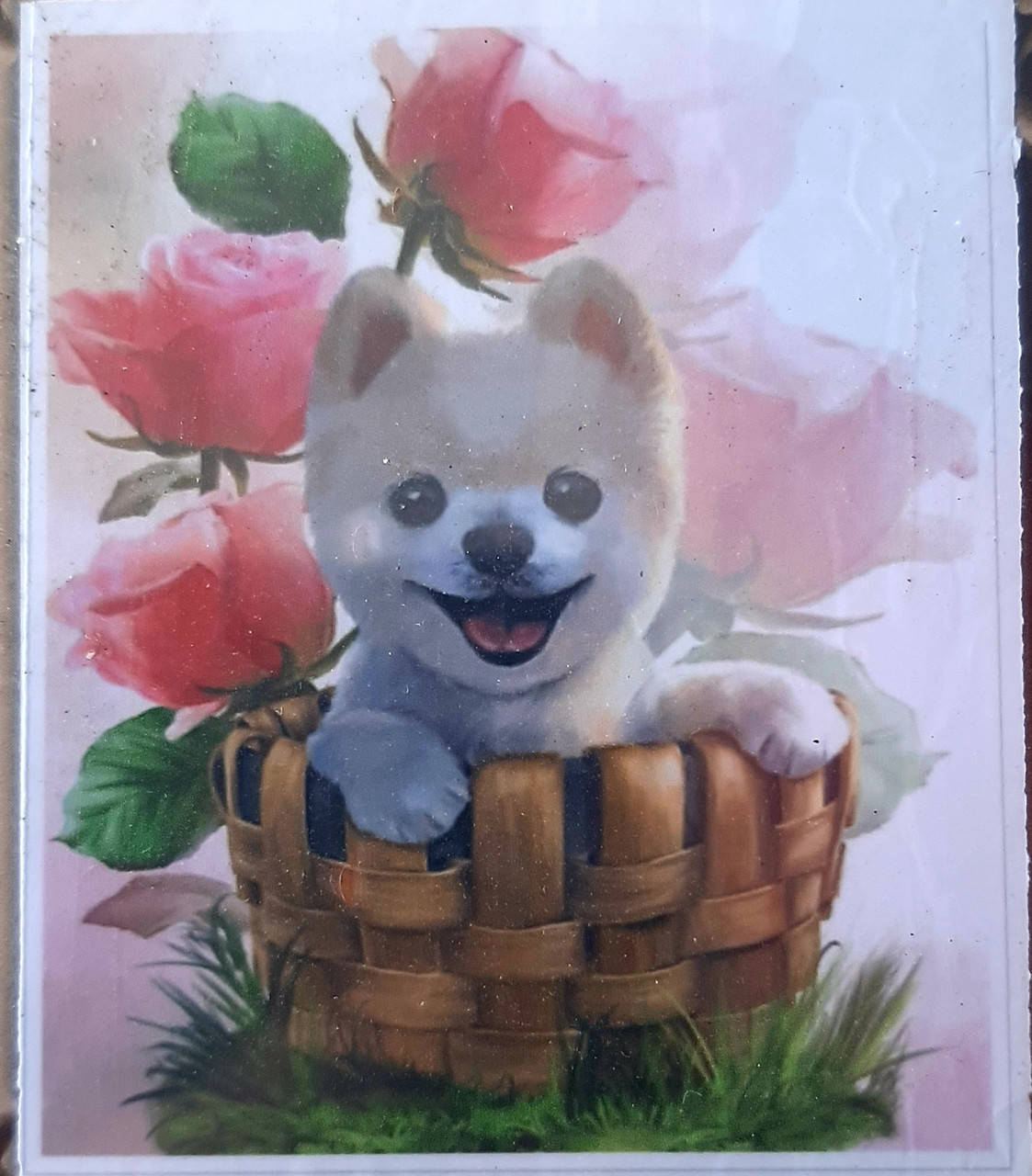 Картина по номерам Собака RAS2189_O 20*30см. Funny dog J.Otten, живопись по номерам , животные
Картина по номерам Собака RAS2189_O 20*30см. Funny dog J.Otten, живопись по номерам , животные
