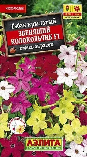 Семена Табак Крылатый Звенящий Колокольчик F2 смесь окрасок 0,02 грамма Аэлита, Разные цвета
Семена Табак Крылатый Звенящий Колокольчик F2 смесь окрасок 0,02 грамма Аэлита, Разные цвета