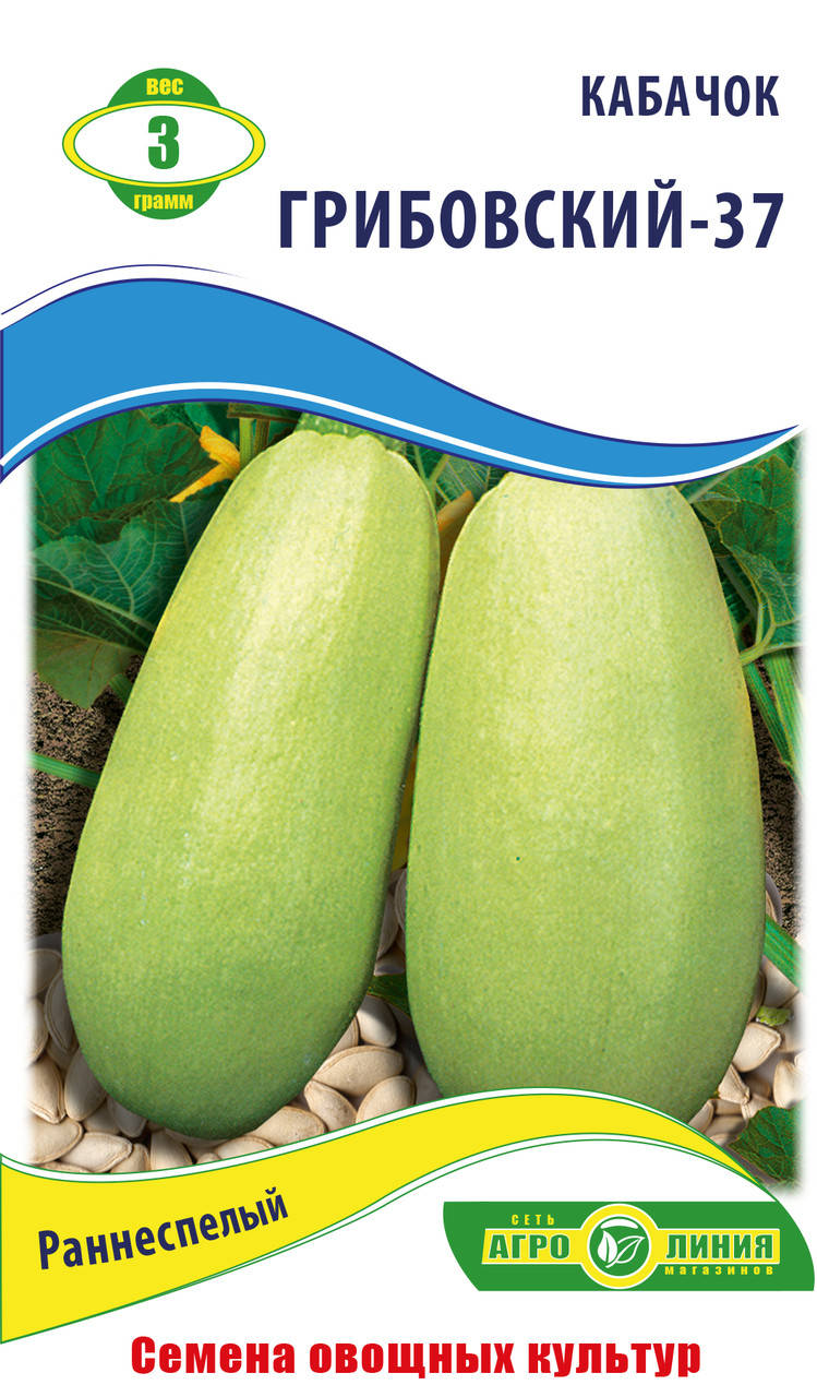 Семена кабачка Грибовский - 37 , Агролиния
Семена кабачка Грибовский - 37 , Агролиния