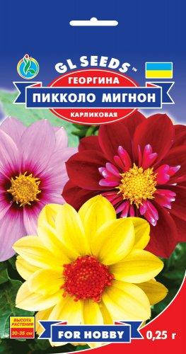 Георгина Пикколо Мигнон сорт с компактной формой куста и махровыми соцветиями d - 9 см, упаковка 0,25 г
Георгина Пикколо Мигнон сорт с компактной формой куста и махровыми соцветиями d - 9 см, упаковка 0,25 г