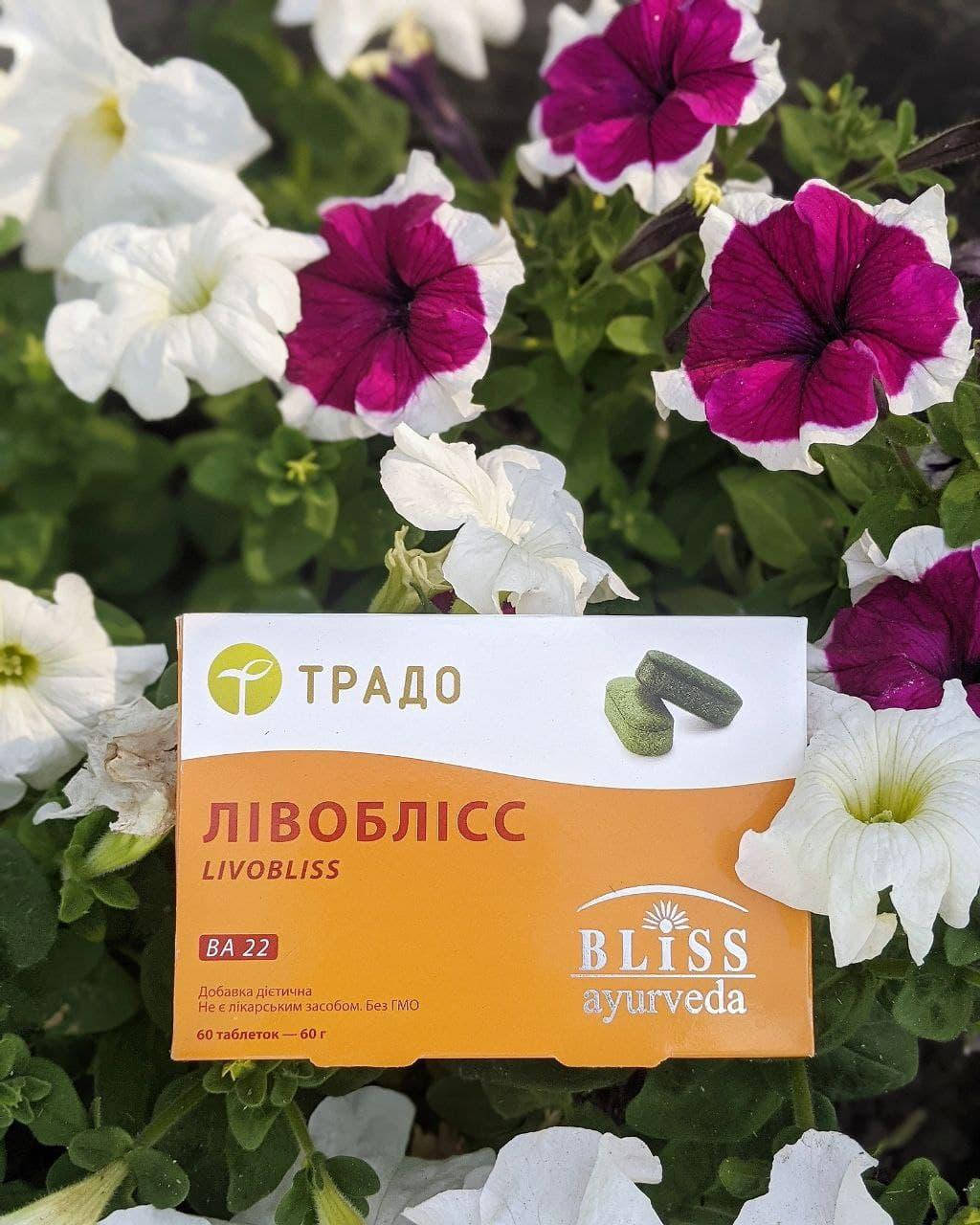 Ливоблисс, Ливоблис, аюрведические таблетки, Livobliss, для здоровья печени, детокс, выведение токсинов желчи
Ливоблисс, Ливоблис, аюрведические таблетки, Livobliss, для здоровья печени, детокс, выведение токсинов желчи