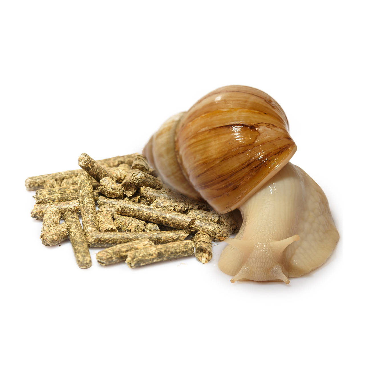 Корм для улиток Гранулы люцерны Мистер Хеликс 100г для улиток ахатин, архахатин, лимиколярий
Корм для улиток Гранулы люцерны Мистер Хеликс 100г для улиток ахатин, архахатин, лимиколярий