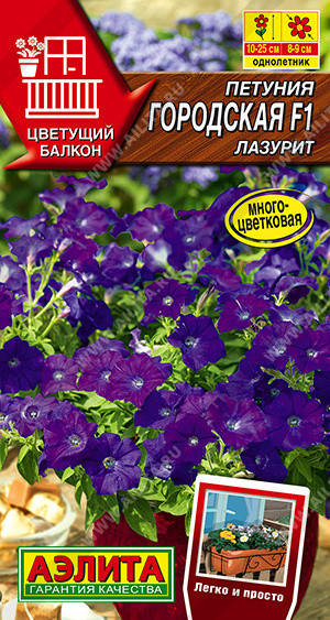 Семена Петуния карликовая многоцветковая Городская F1 Лазурит 7 семян Аэлита, Синий
Семена Петуния карликовая многоцветковая Городская F1 Лазурит 7 семян Аэлита, Синий