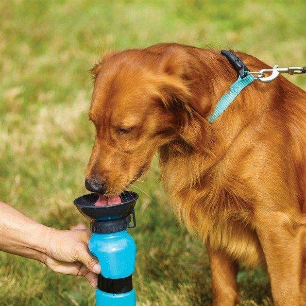 Портативная бутылка-поилка для собак в дорогу (Aqua Dog) переносная дорожная поилка собаки на улице, Голубой
Портативная бутылка-поилка для собак в дорогу (Aqua Dog) переносная дорожная поилка собаки на улице, Голубой