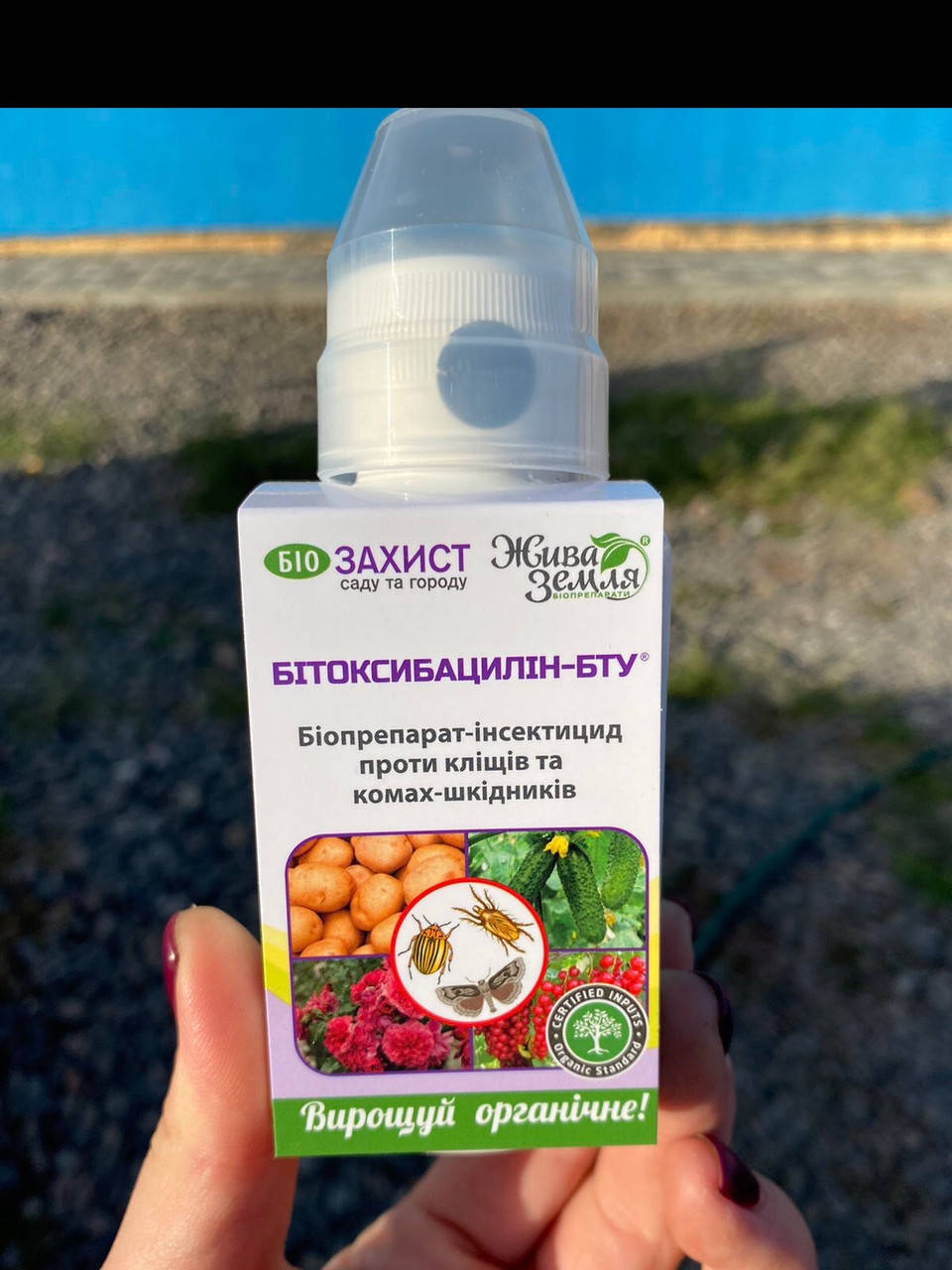 Битоксибациллин-БТУ-р инсектицид
Битоксибациллин-БТУ-р инсектицид