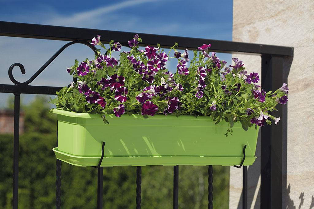 Балконный ящик для цветов Form-Plastic Venus прямоугольный 5,3 л 16 х 13 х 50 см, Цвет Белый
Балконный ящик для цветов Form-Plastic Venus прямоугольный 5,3 л 16 х 13 х 50 см, Цвет Белый