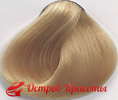 Крем-краска для волос 10.0 Светлый блондин экстра Color-Cream Sintesis Black Professional, 100 мл
Крем-краска для волос 10.0 Светлый блондин экстра Color-Cream Sintesis Black Professional, 100 мл