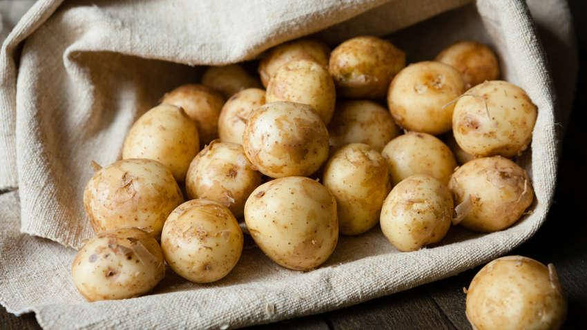 Картопля насіннева Щедрик єліта від 3 кг
Картопля насіннева Щедрик єліта від 3 кг