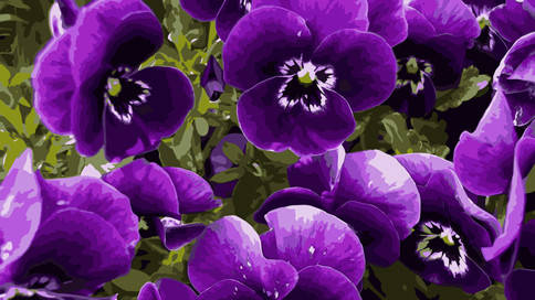 Набор для росписи картина по номерам на холсте "Фиалкова эйфория" 40*50см
Набор для росписи картина по номерам на холсте "Фиалкова эйфория" 40*50см