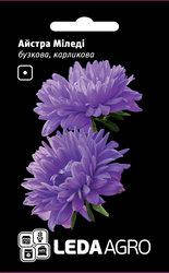 Семена астры Миледи, 0,2 гр., карликовая, сиреневая, Сиреневый
Семена астры Миледи, 0,2 гр., карликовая, сиреневая, Сиреневый