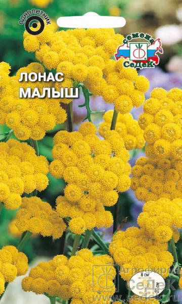 Семена Лонас Малыш 0,05 грамма Седек, Желтый 
Семена Лонас Малыш 0,05 грамма Седек, Желтый