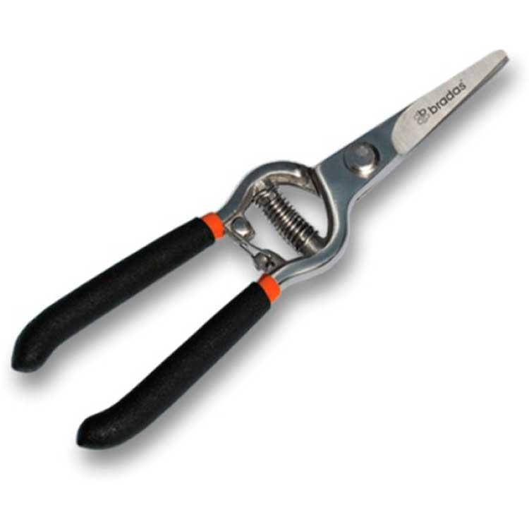 Секатор садовый Bradas Carbon-Steel прямой 8" (KT-RG1007)
Секатор садовый Bradas Carbon-Steel прямой 8" (KT-RG1007)