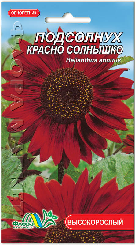 Подсолнух Красно солнышко, Красный
Подсолнух Красно солнышко, Красный