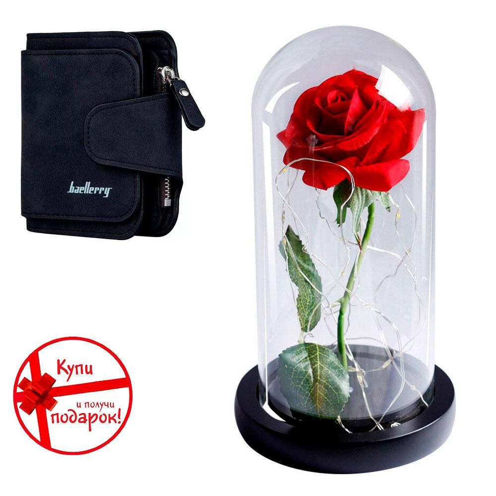 Роза в колбе с LED подсветкой (большая) + Подарок Женский кошелек Baellerry Forever Mini, Красный
Роза в колбе с LED подсветкой (большая) + Подарок Женский кошелек Baellerry Forever Mini, Красный