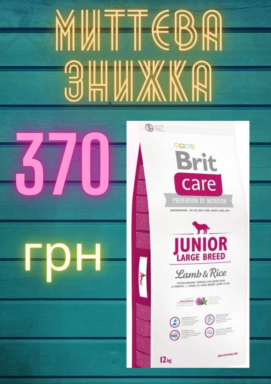 Brit Care Junior Large Breed Lamb & Rice Брит кеа Джуниор корм с ягненком для щенков, 12 кг
Brit Care Junior Large Breed Lamb & Rice Брит кеа Джуниор корм с ягненком для щенков, 12 кг