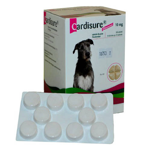 Кардишур 10 мг (Cardisure) 10 табл., блистер (Пимобендан)
Кардишур 10 мг (Cardisure) 10 табл., блистер (Пимобендан)