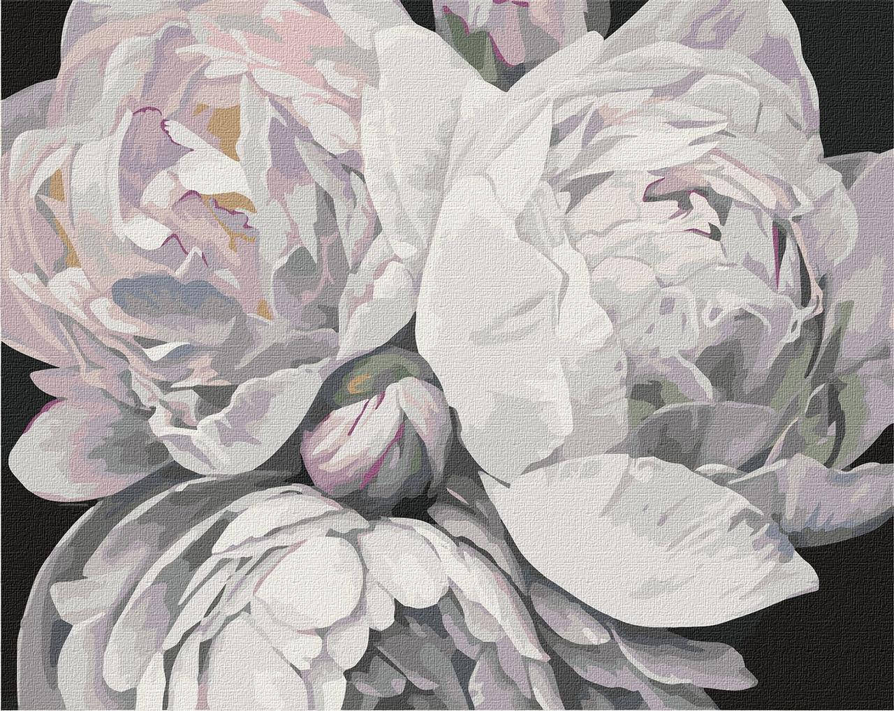 Картина по номерам "Краски пиона" 40*50см, в термопакете, ТМ Идейка, Украина
Картина по номерам "Краски пиона" 40*50см, в термопакете, ТМ Идейка, Украина