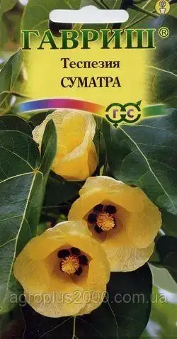 Семена Теспезия Суматра 3 сем Гавриш 
Семена Теспезия Суматра 3 сем Гавриш