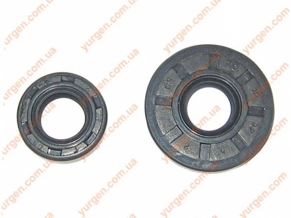 Eurotec (запчасти) Сальники коленвала для бензотриммера EUROTEC GT 110 (2шт).
Eurotec (запчасти) Сальники коленвала для бензотриммера EUROTEC GT 110 (2шт).