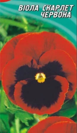 Насіння Виола Скарлет 30 шт.
Насіння Виола Скарлет 30 шт.